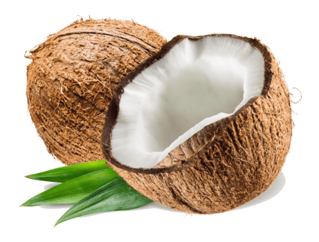 Coconut