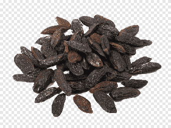 Tonka Bean