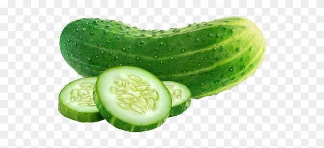 Cucumber
