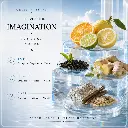 LV2.webp
