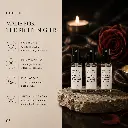 D3 (2).webp