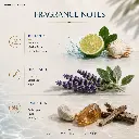 A2 (7).webp