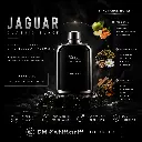 Jgauar1.webp